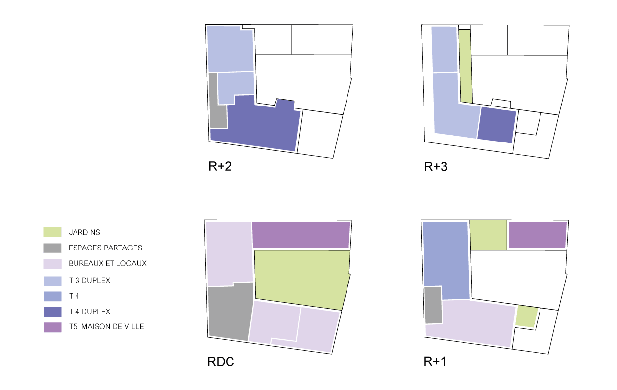 Fanny-Roze-Architecture-PLR-schema-de-repartition