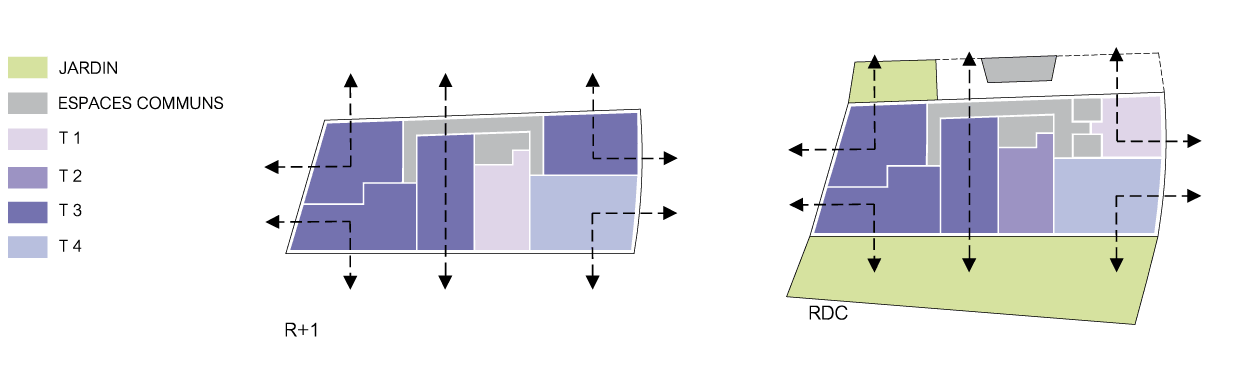 Fanny-Roze-Architecture-SDC-schema-repart